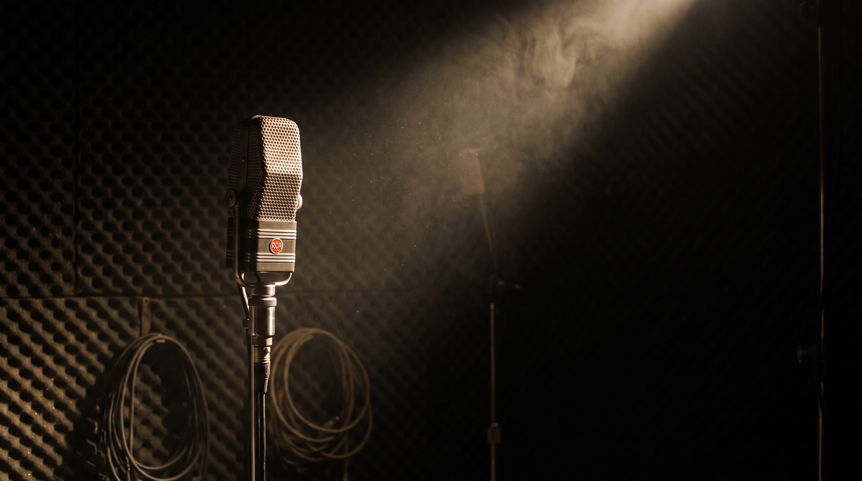 Studio microphone in a recording booth